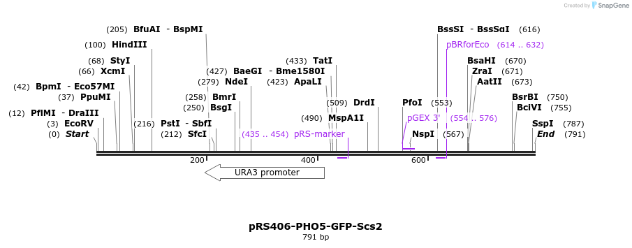 95423_map