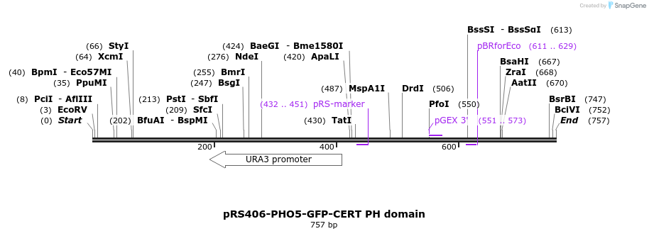 95424_map