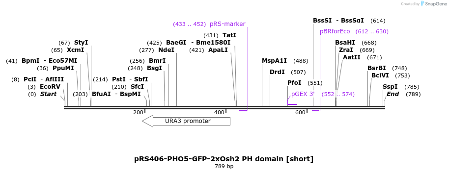 95425_map
