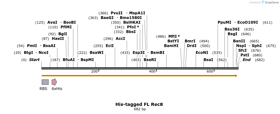 95427_map