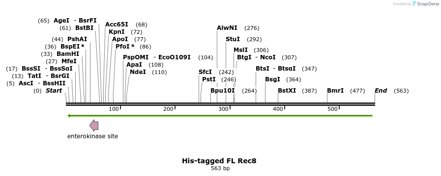 95428_map