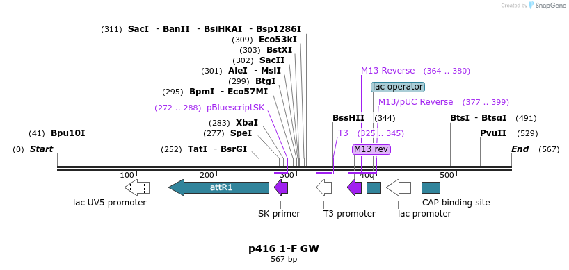 95430_map