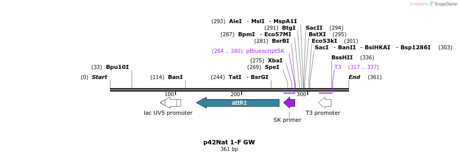 95438_map