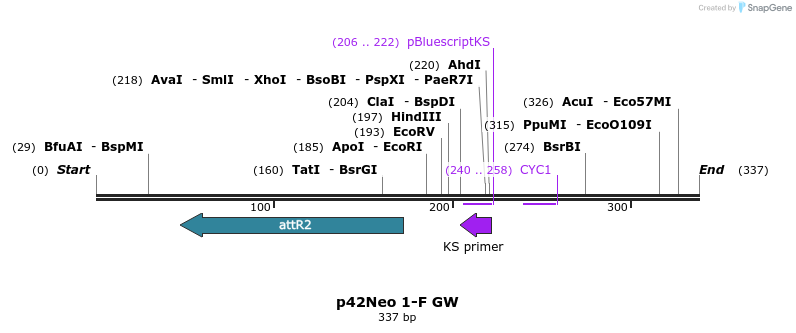 95439_map