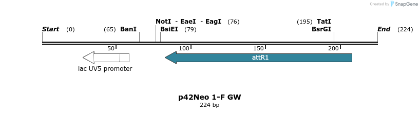 95440_map