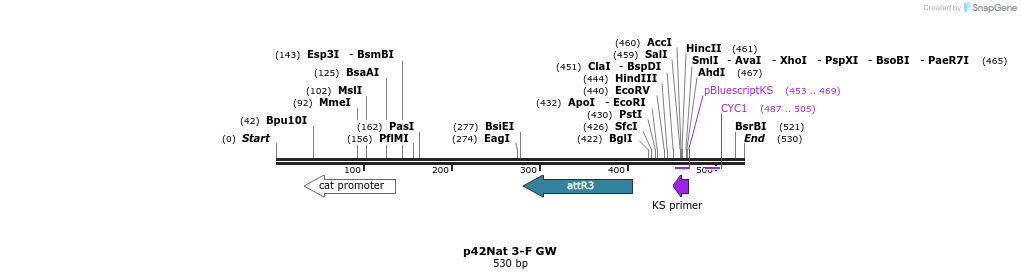 95451_map