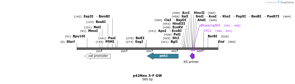 95453_map