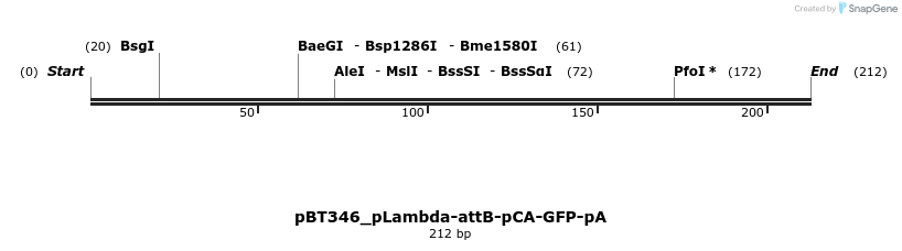 95456_map