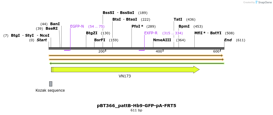 95458_map
