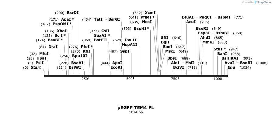 95459_map