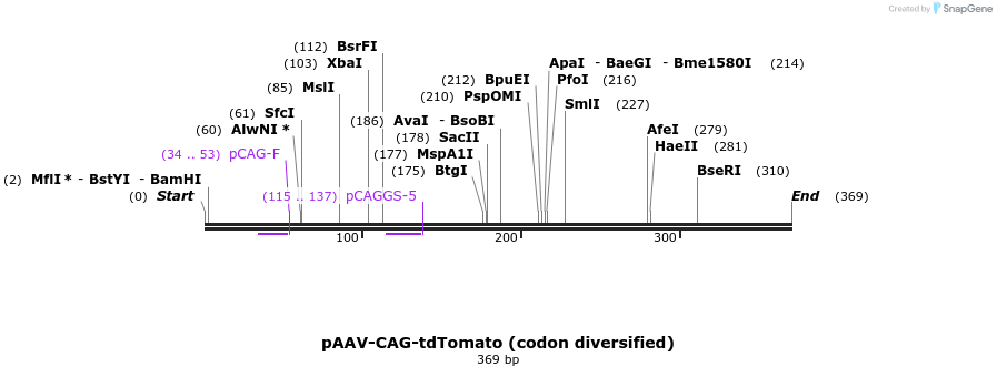 95460_map
