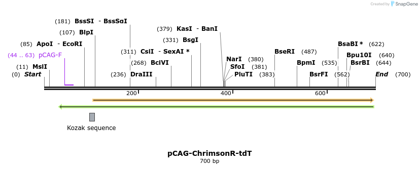 95464_map