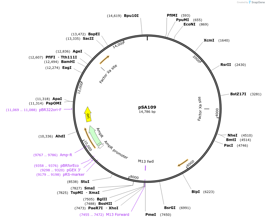 95465_map