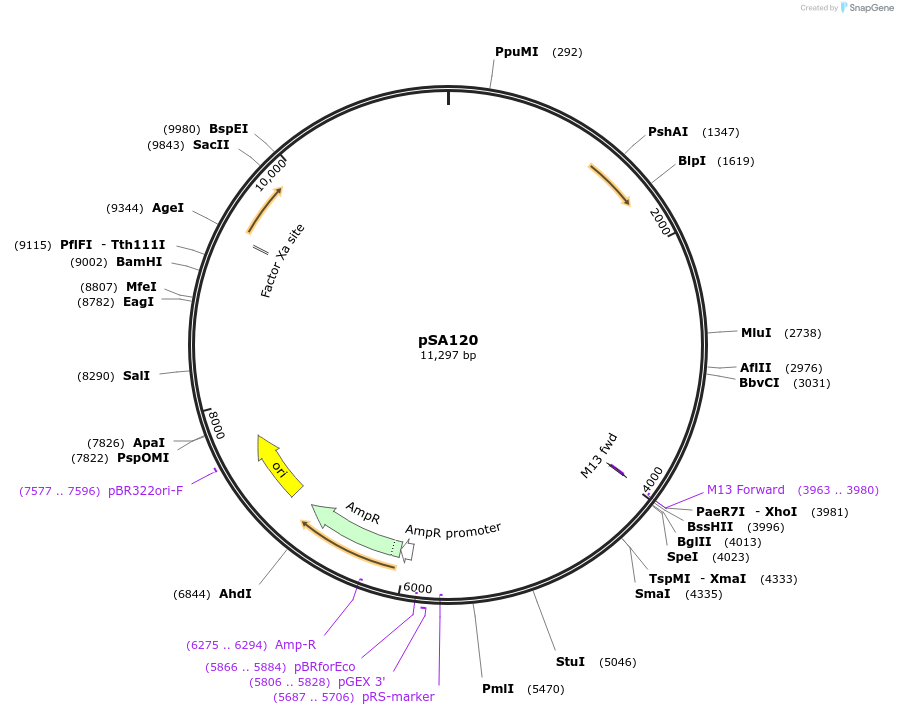 95470_map