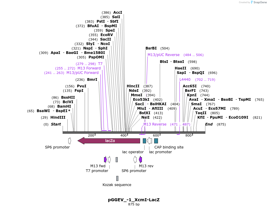95496_map