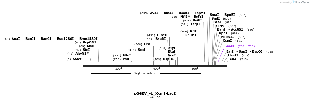 95497_map