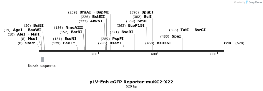 95498_map