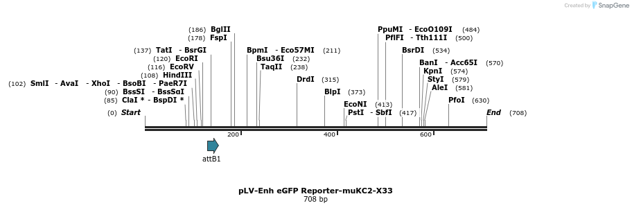 95499_map