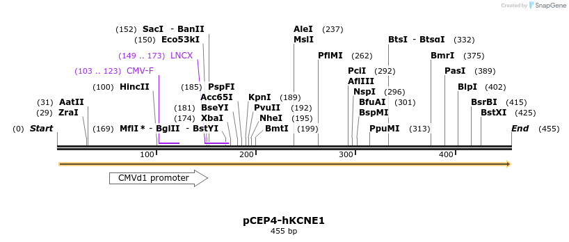 95502_map