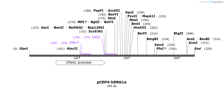 95506_map