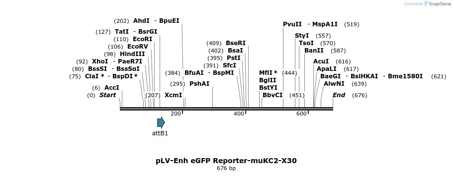 95507_map