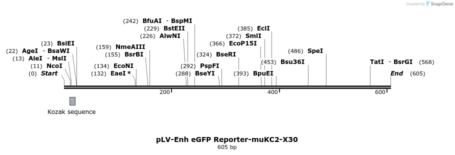 95508_map