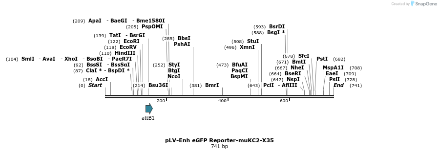 95515_map