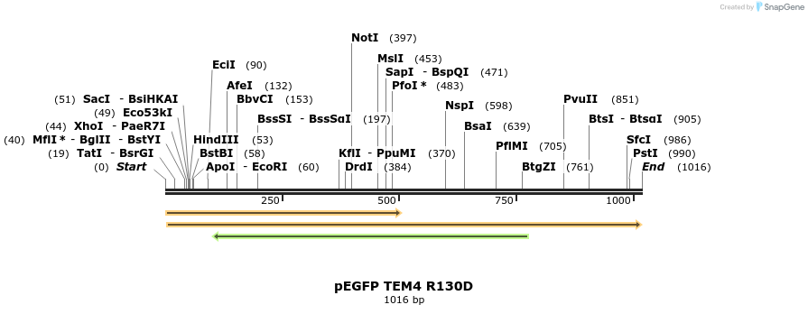 95517_map