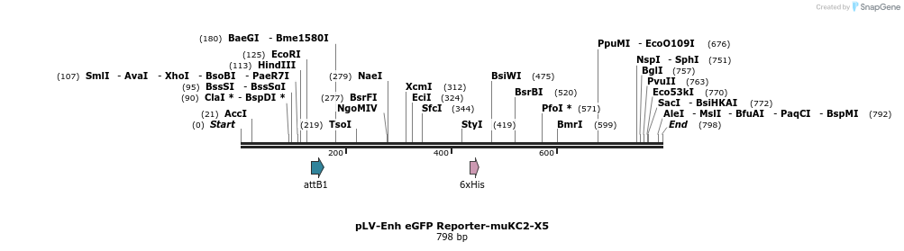 95518_map