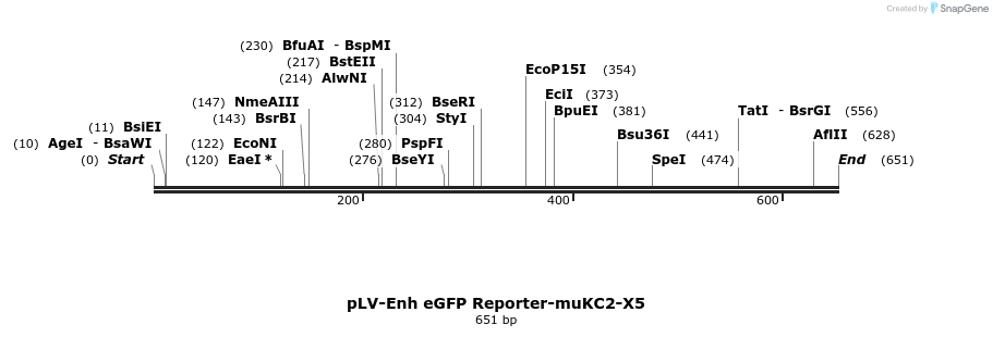 95519_map