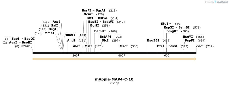 95520_map