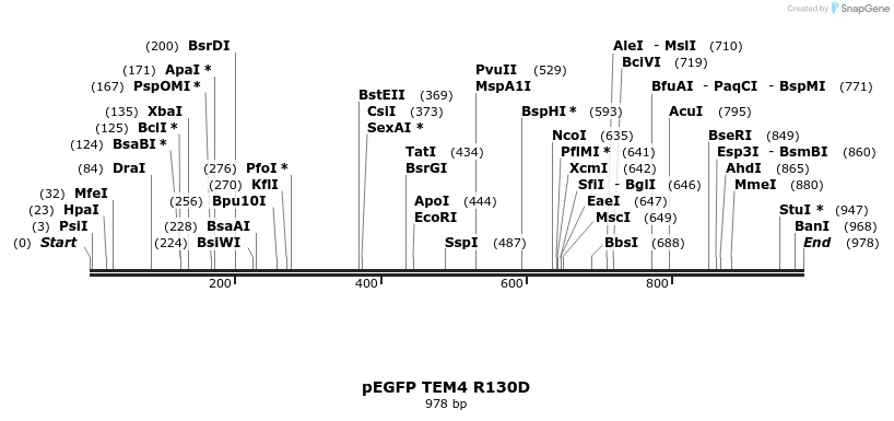 95521_map