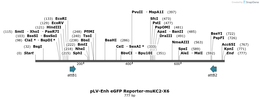 95522_map
