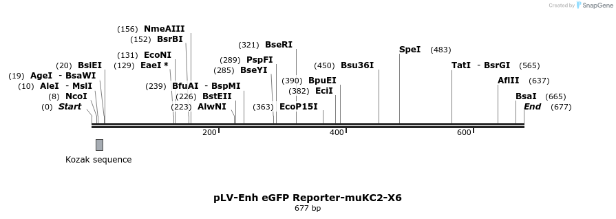 95523_map