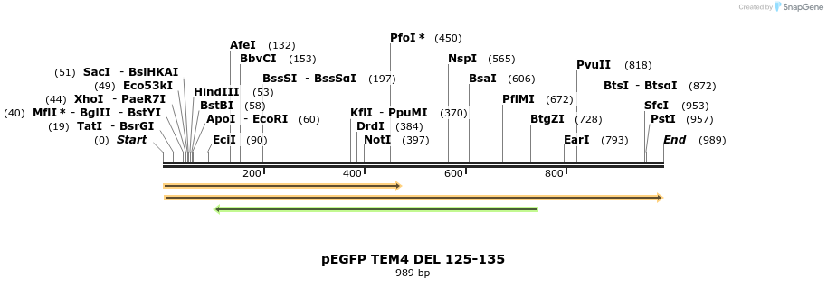 95525_map