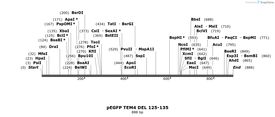 95529_map
