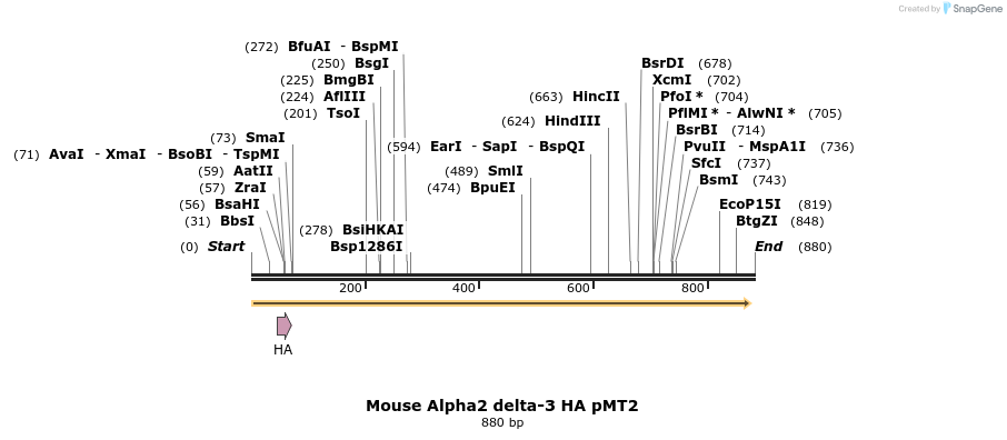 95535_map