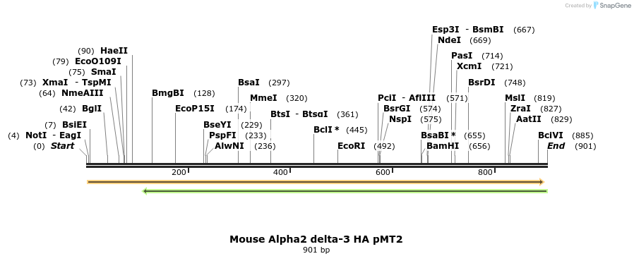 95537_map