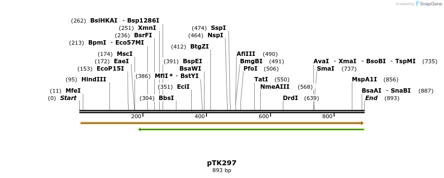 95542_map
