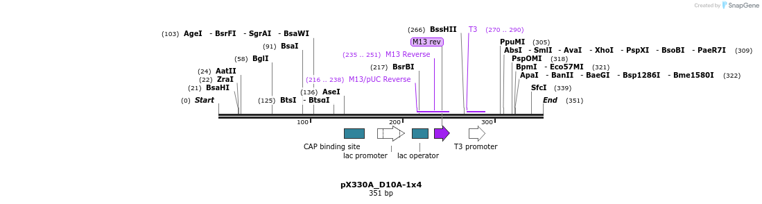 95543_map