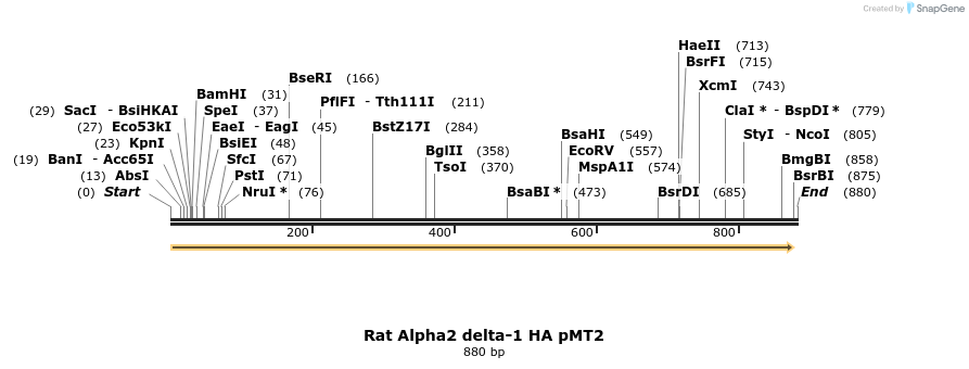 95544_map