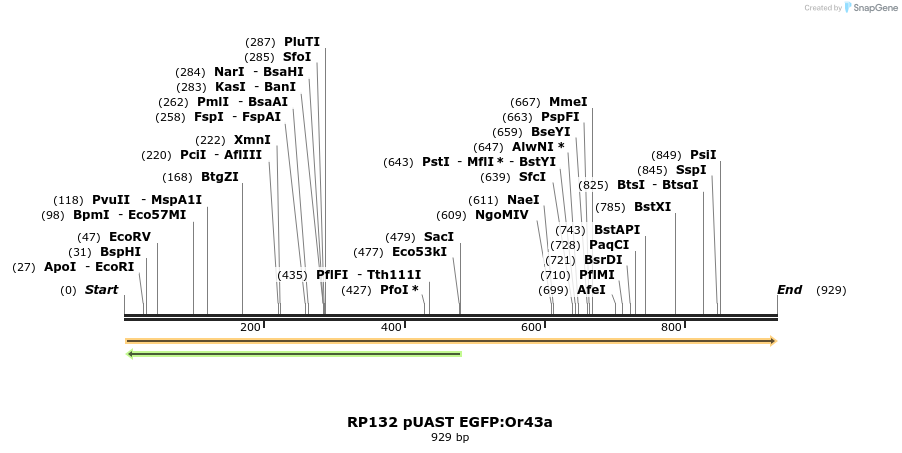 95546_map