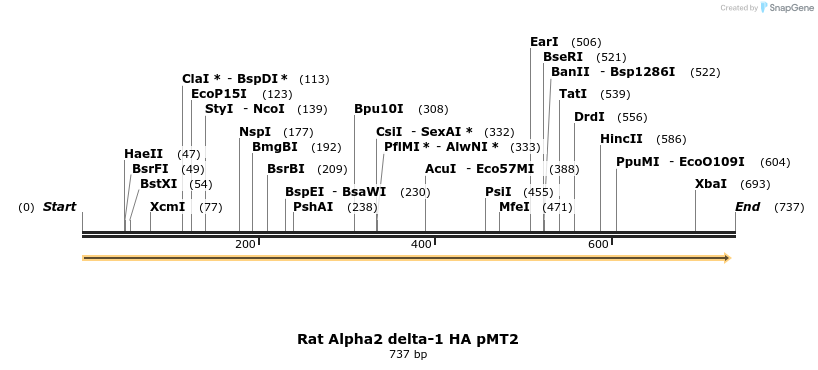 95547_map
