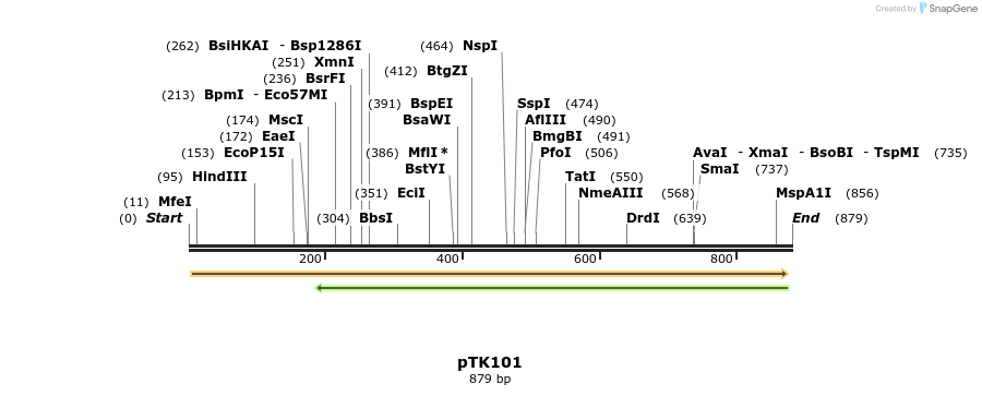 95548_map