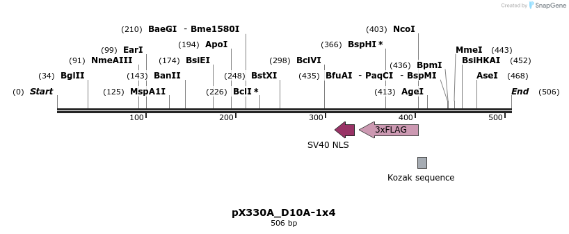 95549_map