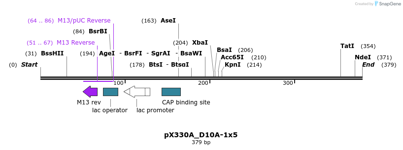 95550_map