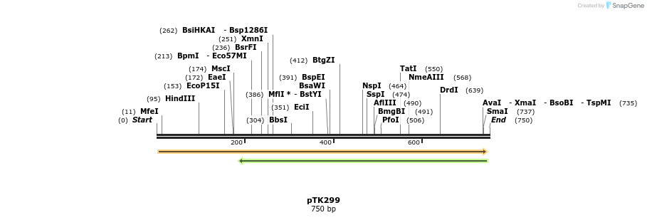 95551_map