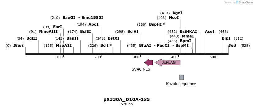 95552_map