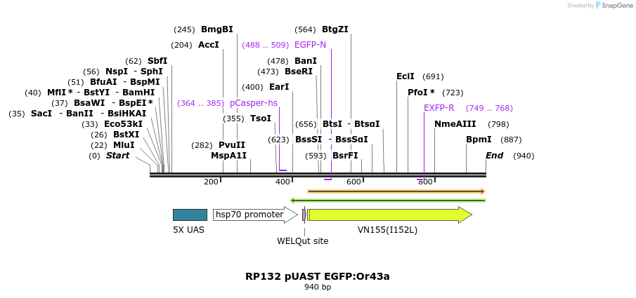 95553_map
