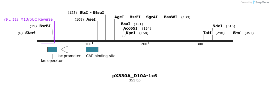 95557_map